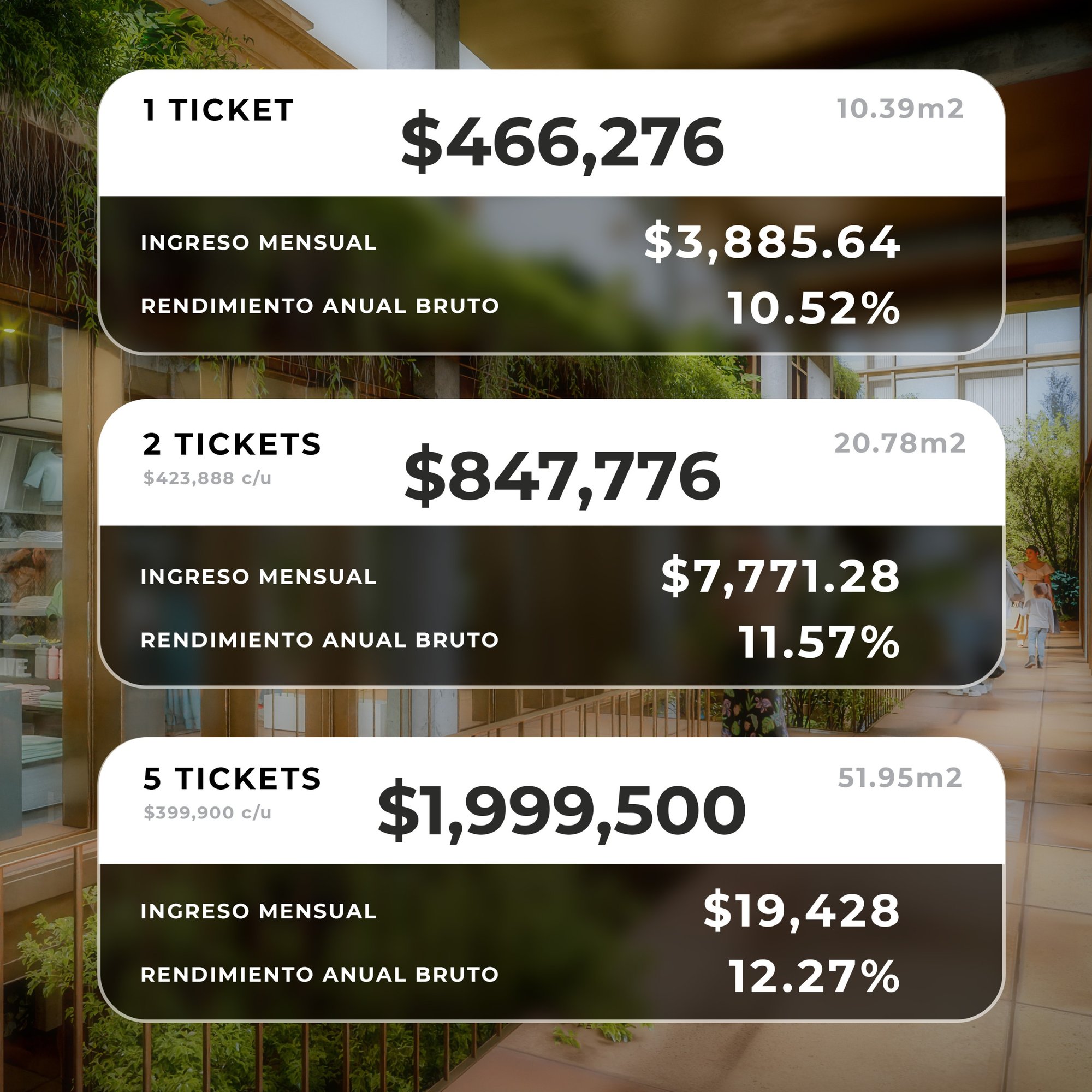 Montos de inversión 2 Montos de inversión 2