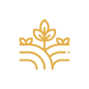 icon-04