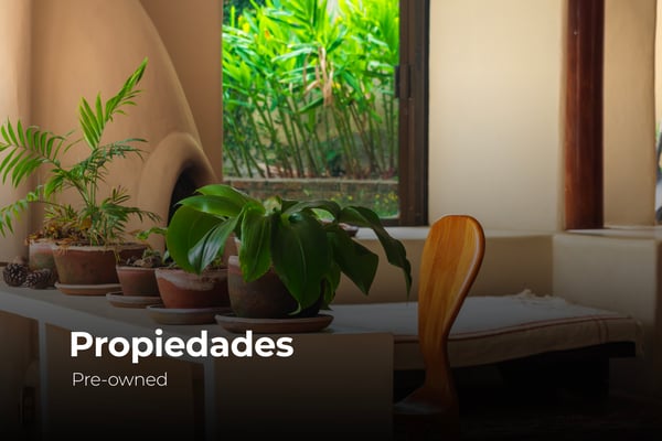 seminuevas seminuevas